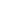2cvstore logo wit
