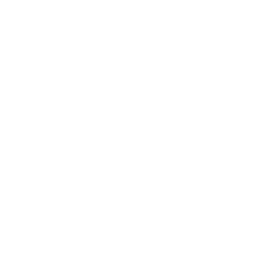 2CV Store